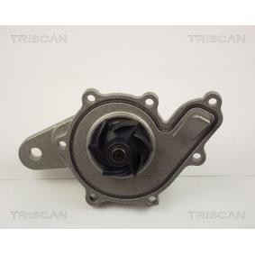 Achetez des Pompe à eau TRISCAN 8600 10014 à prix pour 59,51 €
