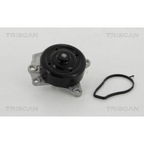 Achetez des Pompe à eau TRISCAN 8600 10022 à prix pour 65,39 €