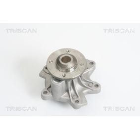 Achetez des Pompe à eau TRISCAN 8600 10026 à prix pour 76,08 €
