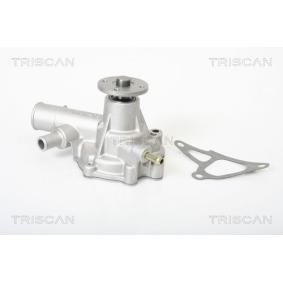 Achetez des Pompe à eau TRISCAN 8600 10261 à prix pour 84,60 €