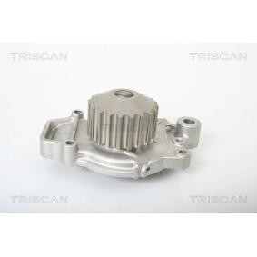 Achetez des Pompe à eau TRISCAN 8600 10849 à prix pour 45,59 €