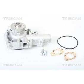 Wasserpumpe von TRISCAN