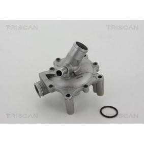 Achetez des Pompe à eau TRISCAN 8600 11035 à prix pour 110,63 €