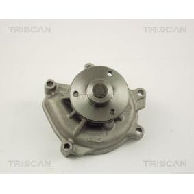 Achetez des Pompe à eau TRISCAN 8600 13012 à prix pour 55,13 €