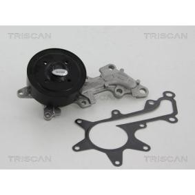 Achetez des Pompe à eau TRISCAN 8600 13018 à prix pour 84,31 €