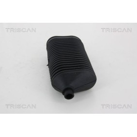 Wasserpumpe für NISSAN von TRISCAN
