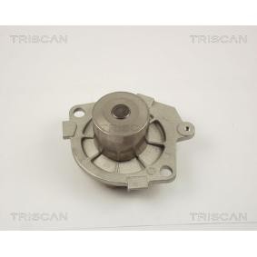 Achetez des Pompe à eau TRISCAN 8600 15021 à prix pour 40,71 €