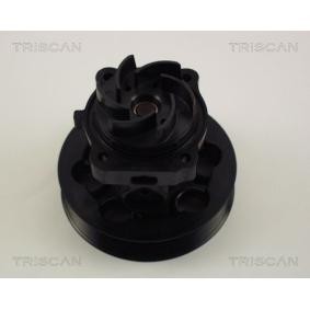 Wasserpumpe von TRISCAN