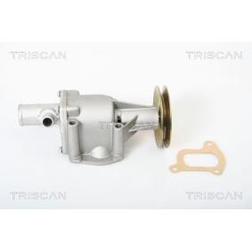 Acquista Pompa acqua da TRISCAN 8600 15123 a buon mercato per soli 71,62 €
