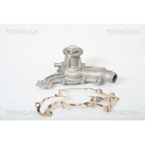 Wasserpumpe von TRISCAN
