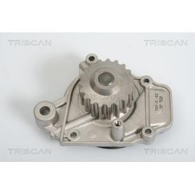 Achetez des Pompe à eau TRISCAN 8600 17001 à prix pour 34,75 €