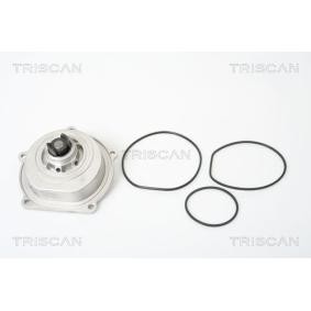 Achetez des Pompe à eau TRISCAN 8600 17003 à prix pour 62,15 €