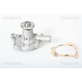 Achetez des Pompe à eau TRISCAN 8600 17005 à prix pour 51,76 €