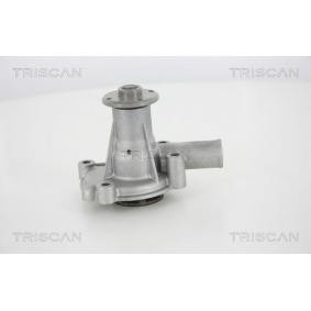 Achetez des Pompe à eau TRISCAN 8600 17006 à prix pour 35,48 €