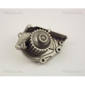 Achetez des Pompe à eau TRISCAN 8600 17007 à prix pour 43,54 €