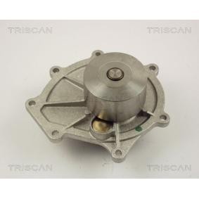 Achetez des Pompe à eau TRISCAN 8600 17009 à prix pour 81,73 €