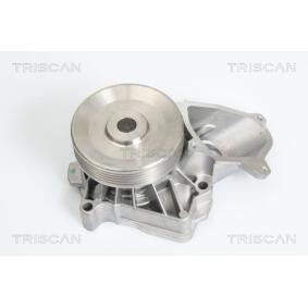 Achetez des Pompe à eau TRISCAN 8600 17010 à prix pour 88,50 €