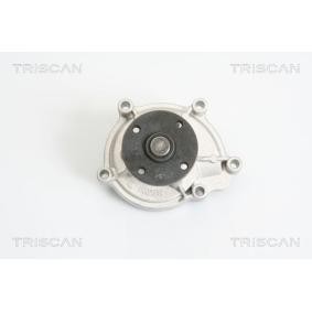 Achetez des Pompe à eau TRISCAN 8600 23048 à prix pour 76,08 €