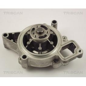 Wasserpumpe von TRISCAN