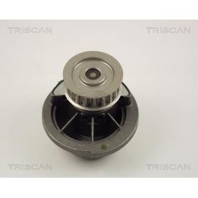 Wasserpumpe von TRISCAN