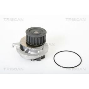 Wasserpumpe von TRISCAN