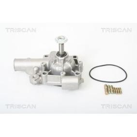 Wasserpumpe von TRISCAN