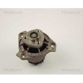 Wasserpumpe von TRISCAN