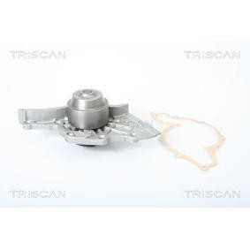 Wasserpumpe von TRISCAN