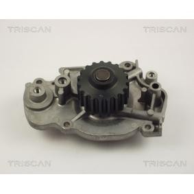 Achetez des Pompe à eau TRISCAN 8600 40005 à prix pour 42,07 €