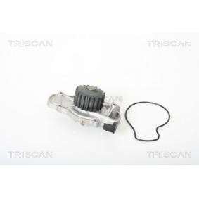 Achetez des Pompe à eau TRISCAN 8600 40979 à prix pour 56,31 €