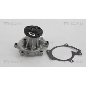 Achetez des Pompe à eau TRISCAN 8600 41010 à prix pour 59,46 €