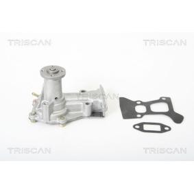 Achetez des Pompe à eau TRISCAN 8600 41110 à prix pour 62,97 €