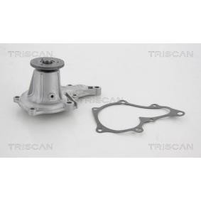 Achetez des Pompe à eau TRISCAN 8600 41854 à prix pour 35,82 €