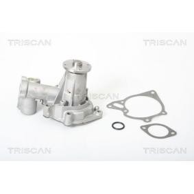 Achetez des Pompe à eau TRISCAN 8600 42001 à prix pour 119,66 €