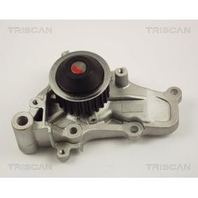 Achetez des Pompe à eau TRISCAN 8600 42006 à prix pour 74,34 €