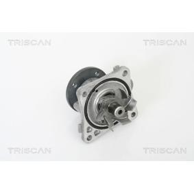 Wasserpumpe von TRISCAN