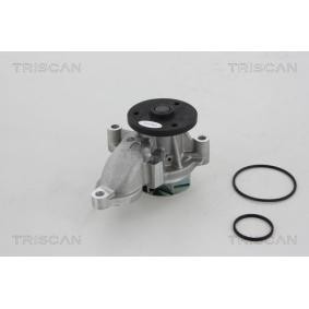 Wasserpumpe von TRISCAN