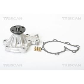 Wasserpumpe von TRISCAN