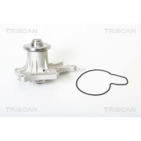 Wasserpumpe von TRISCAN