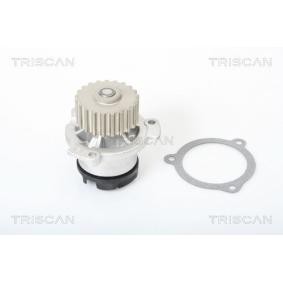 Wasserpumpe von TRISCAN