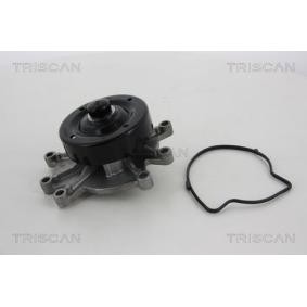 Achetez des Pompe à eau TRISCAN 8600 80015 à prix pour 87,60 €