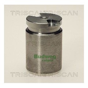Temperaturschalter, Kühlerlüfter 8625 114087 von TRISCAN günstig für 13,14 € online kaufen