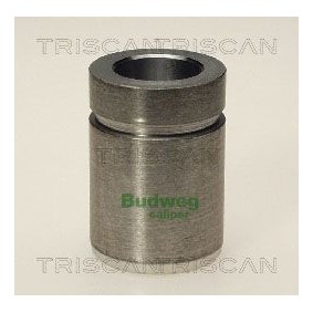 Temperaturschalter, Kühlerlüfter 8625 12090 für FSO