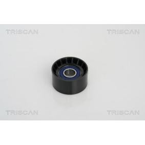 Umlenk- / Führungsrolle, Keilrippenriemen für NISSAN von TRISCAN