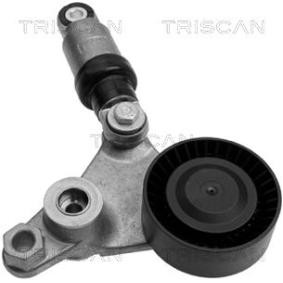Acquista Braccio tenditore, Cinghia Poly-V da TRISCAN 8641 103011 a buon mercato per soli 196,14 €