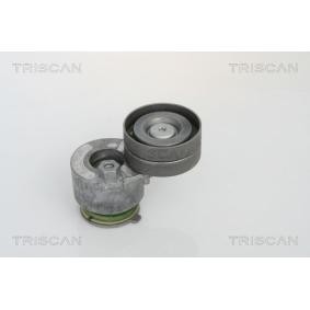 Spannarm, Keilrippenriemen für NISSAN von TRISCAN