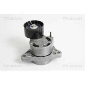 Spannarm, Keilrippenriemen für NISSAN von TRISCAN