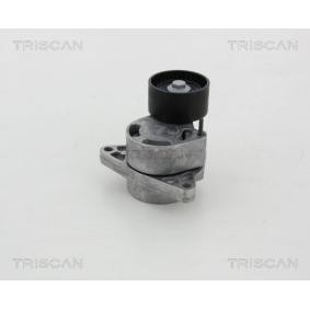 Spannarm, Keilrippenriemen für NISSAN von TRISCAN