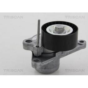 Compre Rolo tensor, correia trapezoidal estriada de TRISCAN online para Interstar Van (X62B) a preços moderados