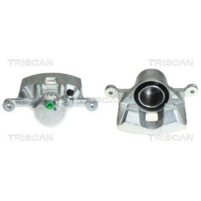 Generatorfreilauf für FORD von TRISCAN